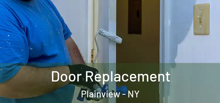  Door Replacement Plainview - NY