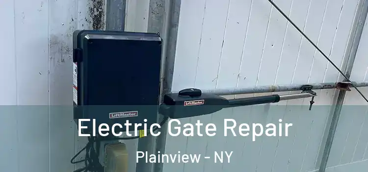  Electric Gate Repair Plainview - NY