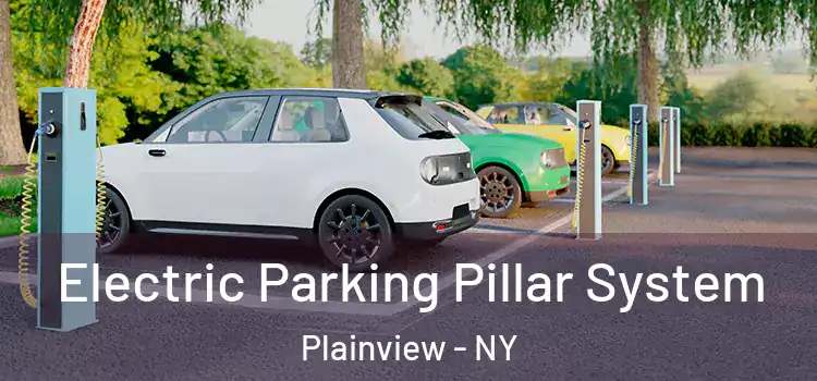  Electric Parking Pillar System Plainview - NY
