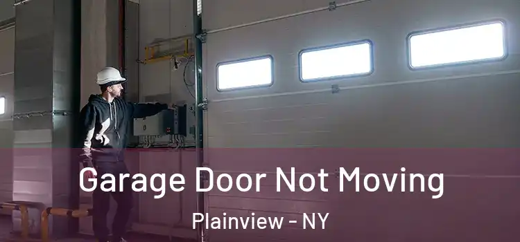  Garage Door Not Moving Plainview - NY