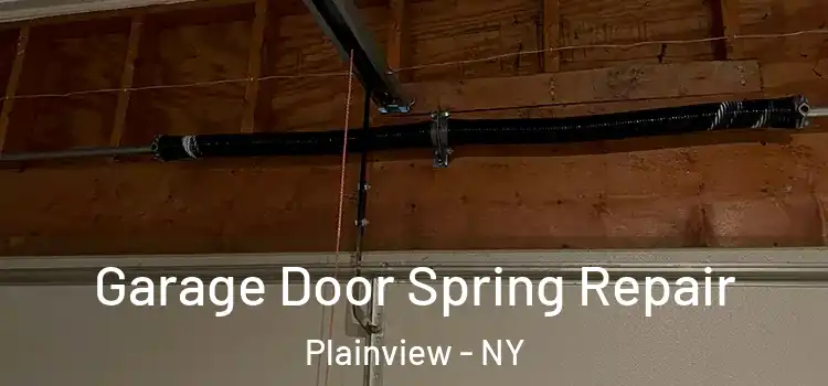  Garage Door Spring Repair Plainview - NY
