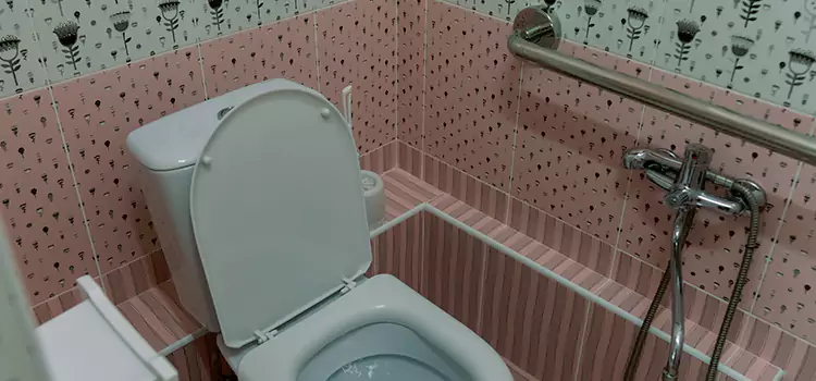 Meeting Diverse Needs With Accessible Restroom Solutions in Plainview, NY