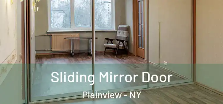  Sliding Mirror Door Plainview - NY